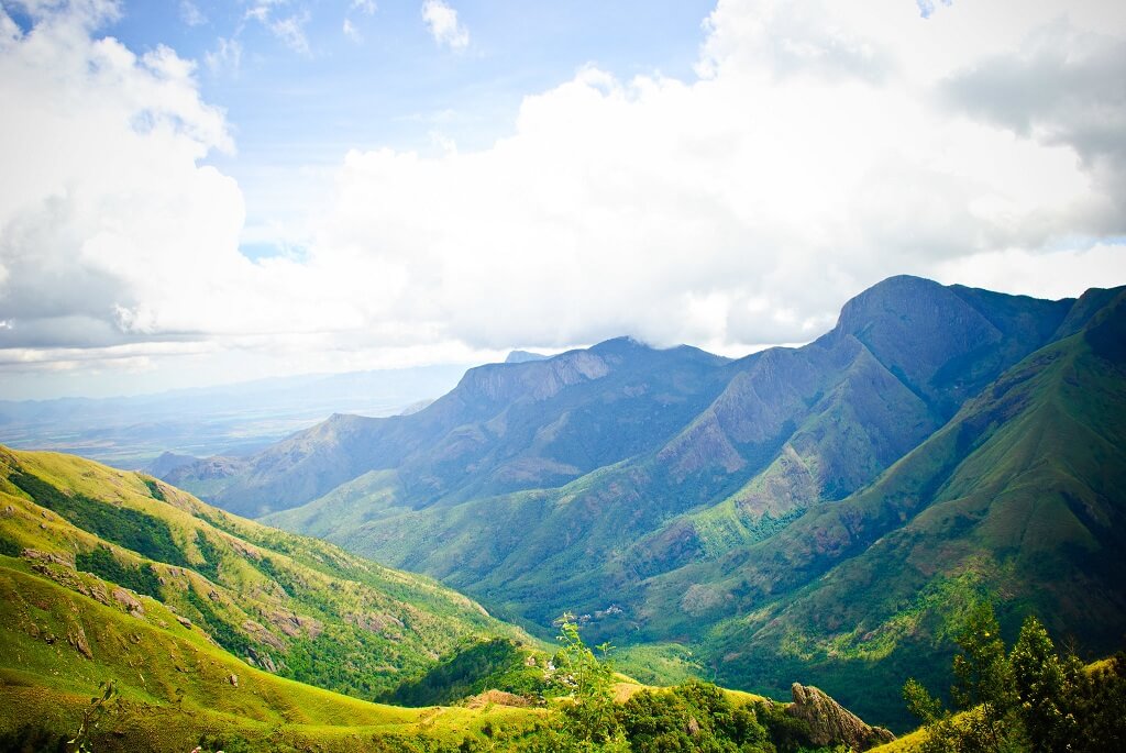 Munnar View